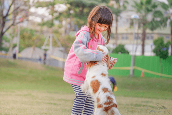 Petting Dogs as a Legitimate Coping Mechanism